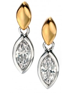 My-jewelry - D5082 - earring star Gold plated and zirconium in 925/1000 silver