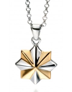 My-jewelry - D4314 - Necklace star Gold-plated in 925/1000 silver