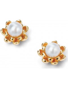 My-jewelry - D5104 - earring flower and pearl Gold-plated in 925/1000 silver