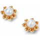 My-jewelry - D5104 - earring flower and pearl Gold-plated in 925/1000 silver