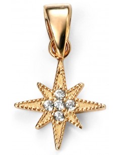 My-jewelry - D4347uk - Sterling silver star Gold plated and zirconium necklace