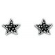 Earring-star in 925/1000 silver