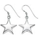 Earring-star in 925/1000 silver
